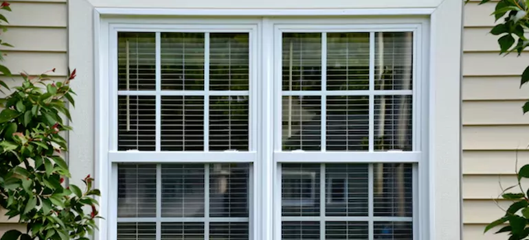 Custom Double Hung Windows in South Miami Heights, FL