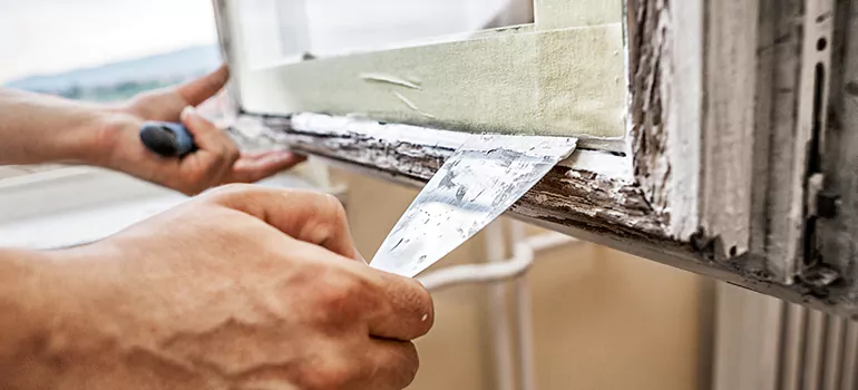 Exterior Window Frame Repair in South Miami Heights, FL