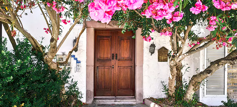 Traditional 4 Panel Internal Doors in South Miami Heights, FL